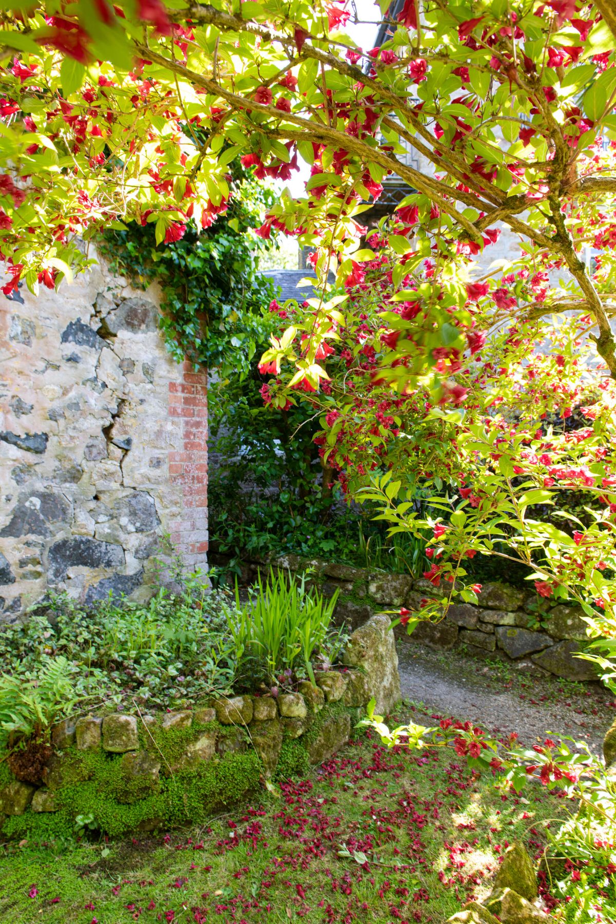 Gallery Item 2 for Tregenna Castle Hotel