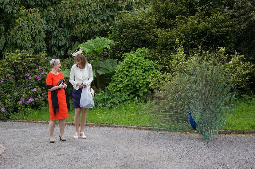 Gallery Item 5 for Dartmoor Zoological Park